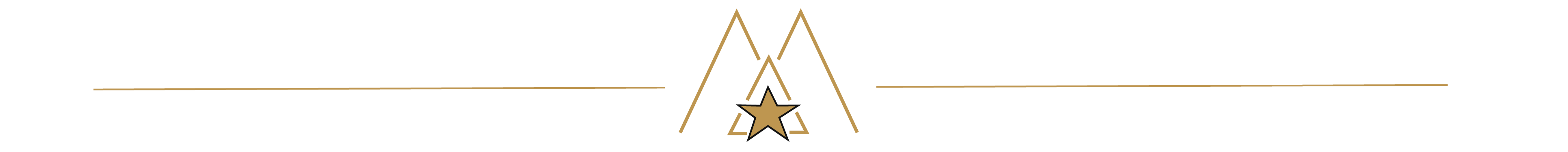 McLane Advisors Investment Services Divider