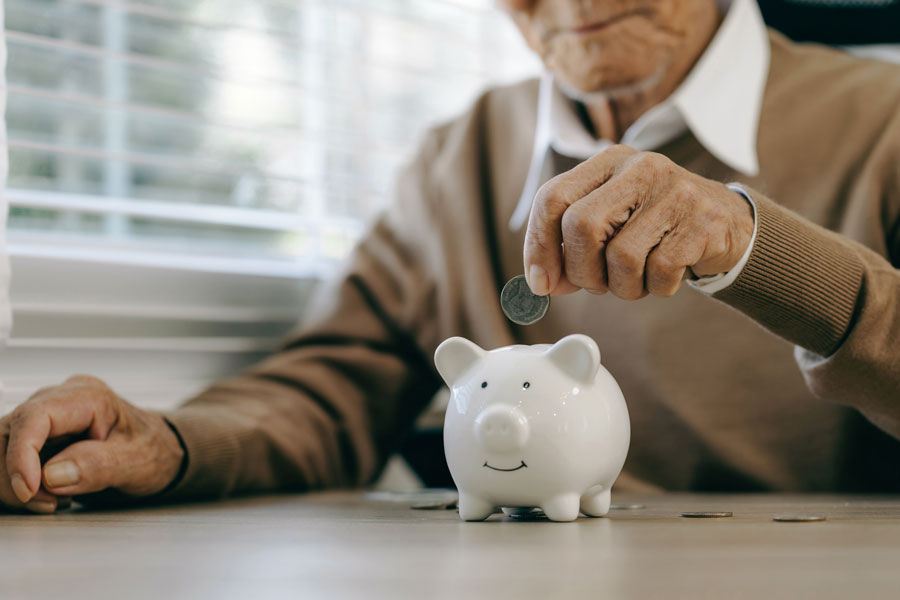 McLane Advisors Financial Guidance